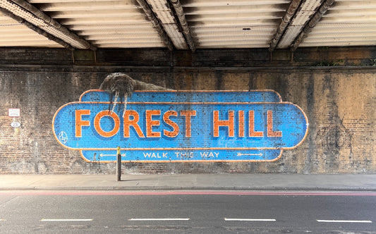 8 Things to Do in Forest Hill