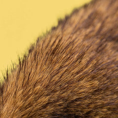 Jellycat Hoppleston Luxe Bunny