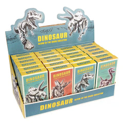Assorted Glow-in-the-Dark Dinosaur Skeleton Kit