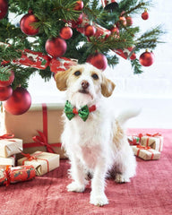 Talking Tables - Sequinned Christmas Dog Tie