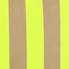 Billie Zip Pouch Bag - Neon Yellow/Beige Stripe