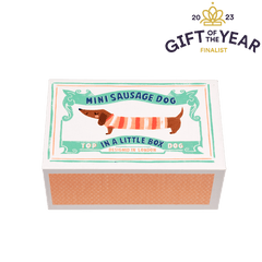 Rex Mini Sausage Dog In A Little Box