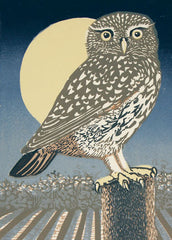Canns Down Press- Little Owl, Full Moon Greeting Card By Lisa Richardson