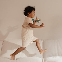 Little Dutch Toy Airplane