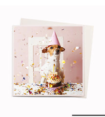 Ustudio Dogs Party / Photographic Greeting Card