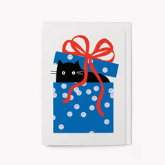 Graphic Factory - Surprise Cat Birthday Card