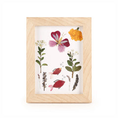 Kikkerland - Huckleberry Make Your Own Pressed Flower Frame Art