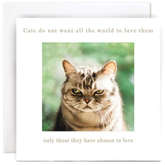 Susan O’Hanlon Cats Chosen Card