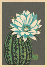Artpress - Elegance Card