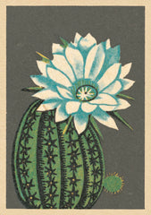 Artpress - Elegance Card