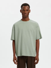 Selected Homme Organic Loose Oscar T-Shirt in Aqua Gray