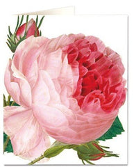 Archivist- Rose Centifolia Greetings Card