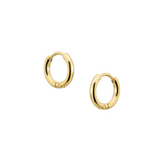 Moments Cassia Hoop Earrings