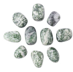 Lotus & Lapis Moss Agate Tumblestone