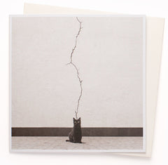 U Studio - ‘And Behold, Cat’ Card