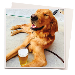 U Studio - Takin’ It Easy Card