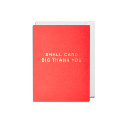 Lagom Design Small Card Big Thank You Coral Mini Card