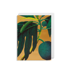 Lagom Design - Artocarpus Incisa Mini Card