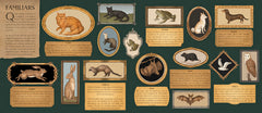 A Natural History of Magick by Poppy David