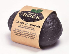 Noted - Plants Rock Cactus Growing Kit