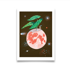 Carolyn Suzuki Begonia Maculata Fine Art Print - 1973