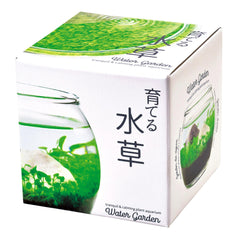 Noted - Water Garden Plant Aquarium