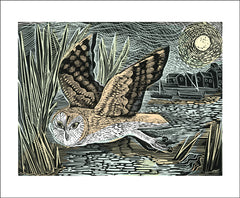 Art Angels - Marsh Owl by Angela Harding