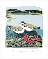 Art Angels - Plovers and Orkney Pinks by Angela Harding