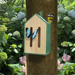 Kikkerland Little Butterfly House