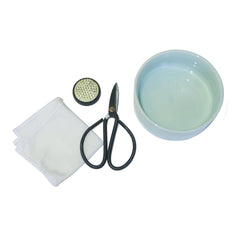 Kikkerland Mini Ikebana Kit