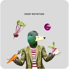 Sally Scaffardi Designs Crop Rotation