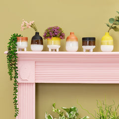 Sass & Belle Mojave Glaze Black Planter