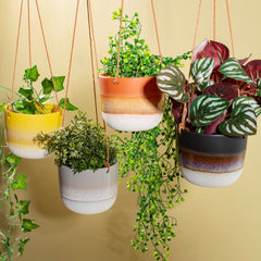 Sass & Belle Mojave Yellow Hanging Planter