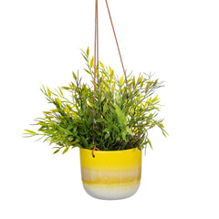 Sass & Belle Mojave Yellow Hanging Planter