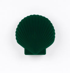 DOIY Venus Green Shell Jewellery Box