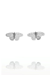 Amanda Coleman Silver Butterfly Stud Earrings