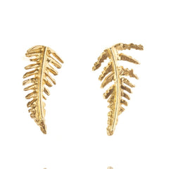 Amanda Coleman Gold Fern Studs