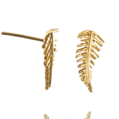 Amanda Coleman Gold Fern Studs