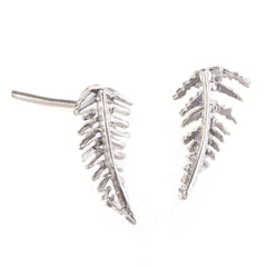 Amanda Coleman Silver Fern Studs
