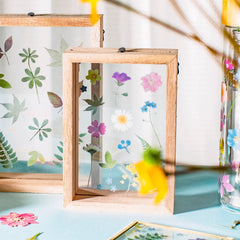 Sass & Belle Pressed Flower Frame