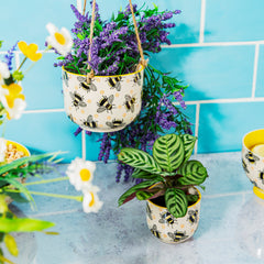 Sass & Belle Busy Bee Mini Planter