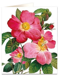 Archivist - Single Provins Rose Card