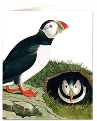 Archivist - Atlantic Puffin Greetings Card