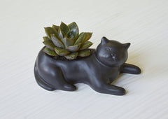 Kikkerland Cosmo The Black Cat Planter