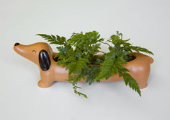 Kikkerland Planter - Daisy The Dachshund