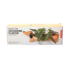 Kikkerland Planter - Daisy The Dachshund