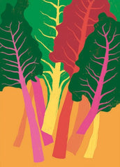 Canns Down Press - Rainbow Chard Greeting Card by Ana Zaja Petrak