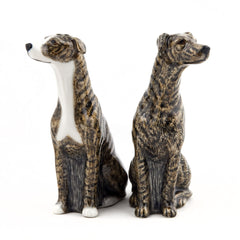 Quail Ceramics Greyhound Brindle Salt and Pepper Set