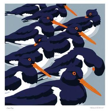 Sea Pies Linoprint Card - Art Angels by Robert Gilmor
