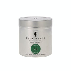 True Grace Walled Garden Wild Mint Tin Candle
